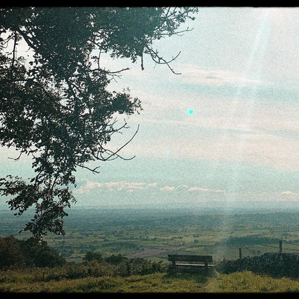 Collection image for: Daydreaming