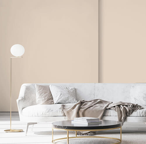 Cameo - Matt Emulsion