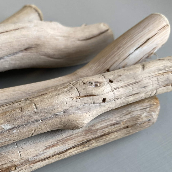 Driftwood