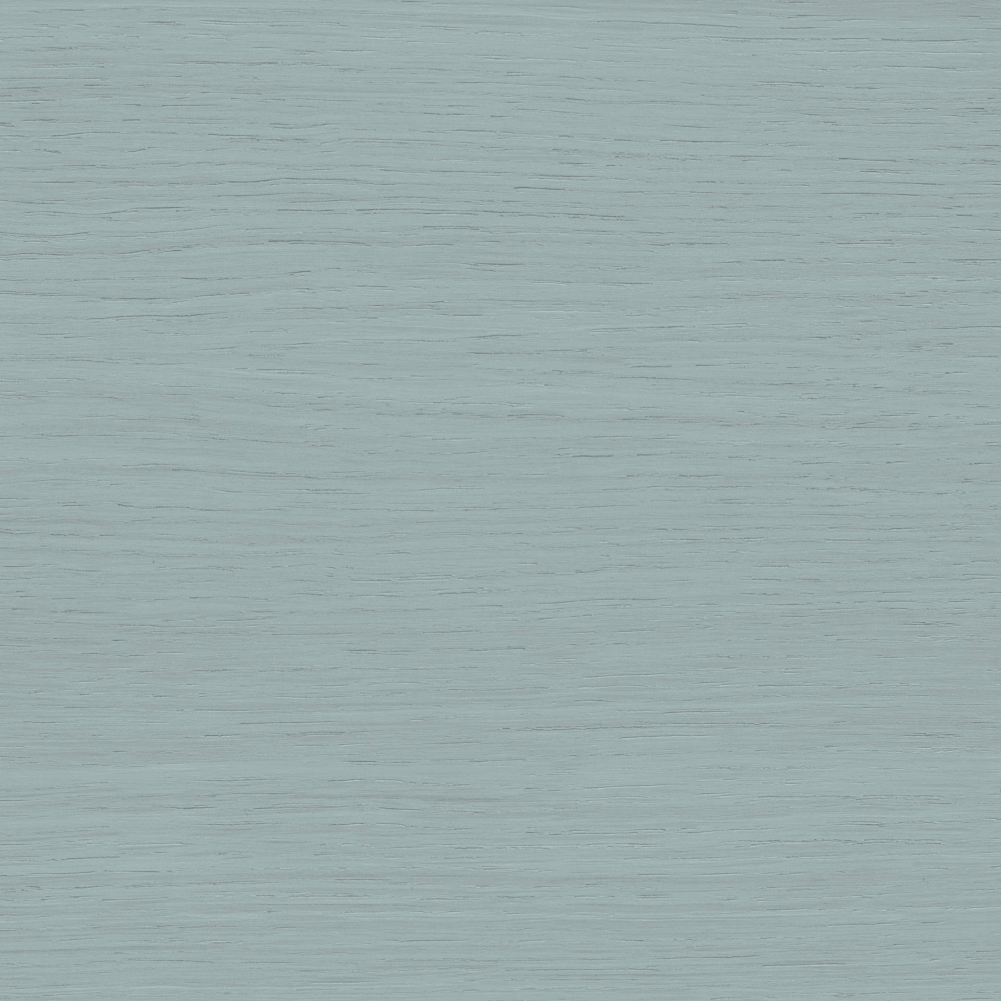 Eucalyptus - Outdoor