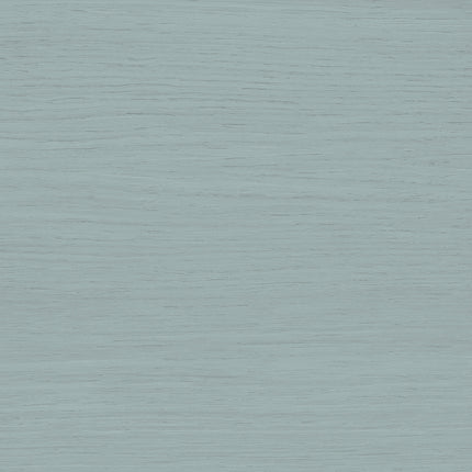 Eucalyptus - Outdoor